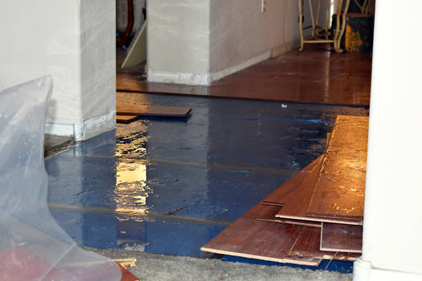 Professional Basement Water Removal technician working in West Orange, NJ