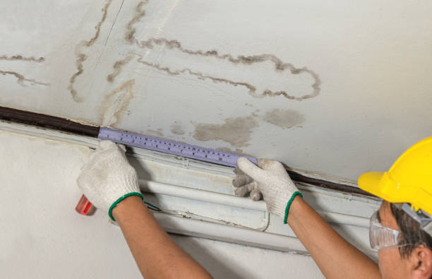 Reliable Basement Water Removal contractor in West Orange, NJ by Water Damage Irwin
